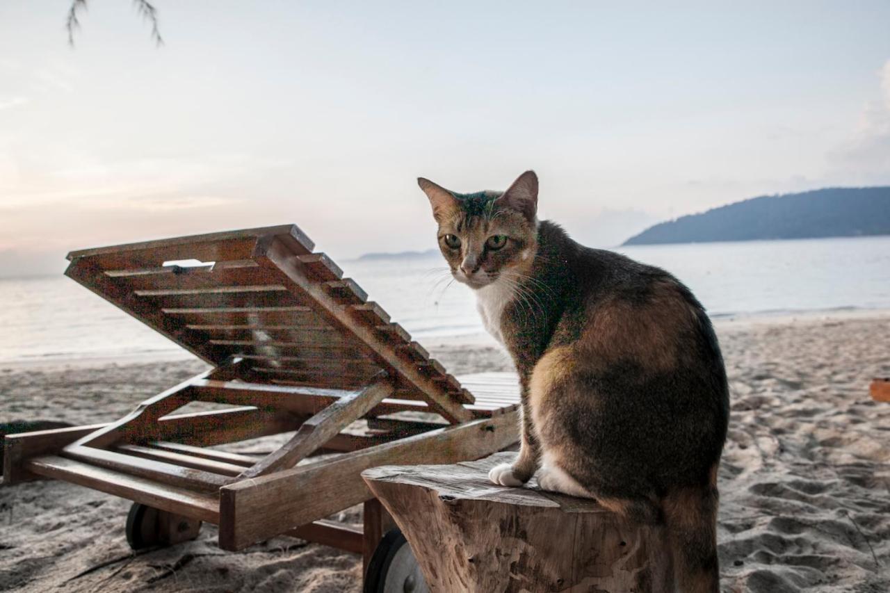 Swiss Cottage Tioman Kampong Ayer Batang Exteriör bild